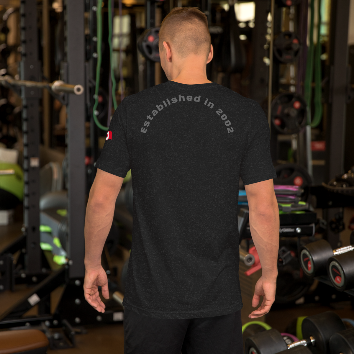 Absinthism Logo Band T